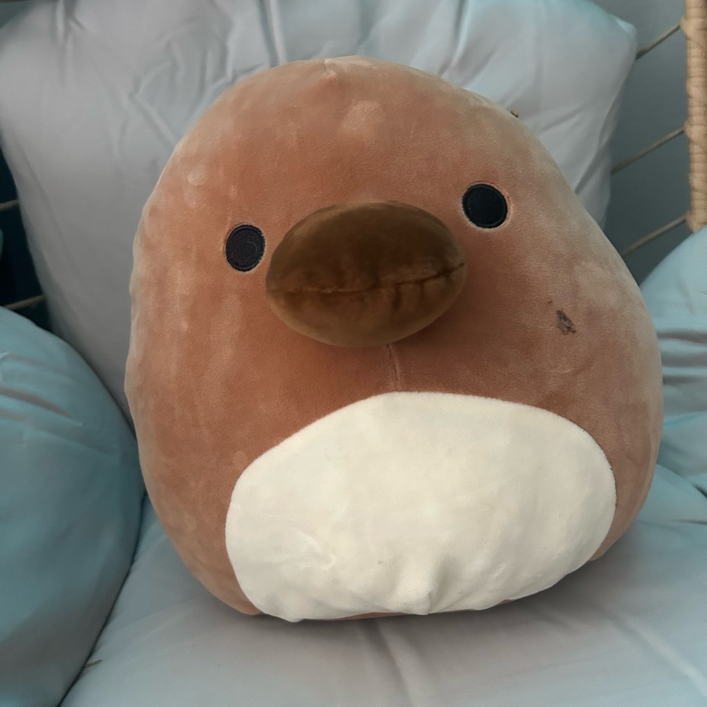 Platypus Squishmallow